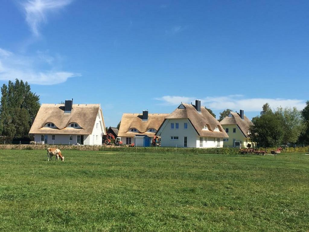 Reetdachhaeuser Boergerende エクステリア 写真